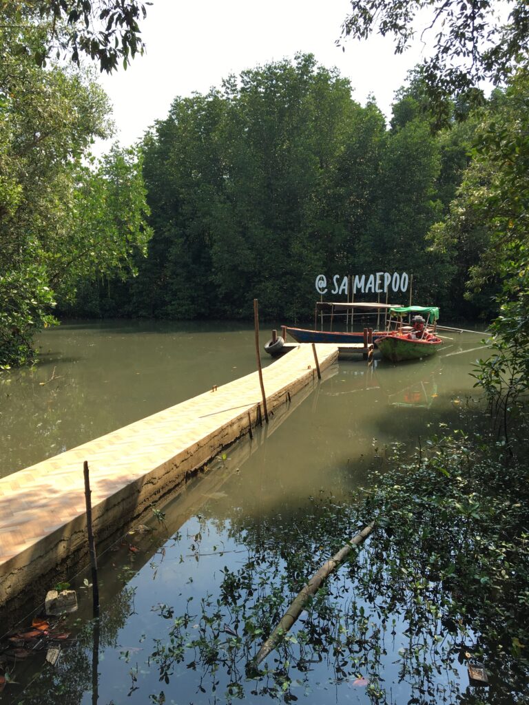 Båtbrygga i mangroveträsket Pak Nam Prasae Laem Mae Phim